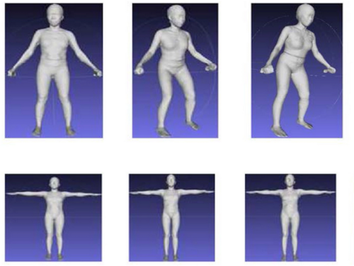 A pose-independent method for accurate and precise body composition from 3D optical scans
