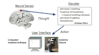 Development of neural motor prostheses for humans